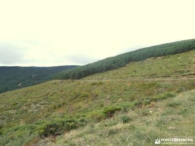 Colgadizos - Sierra de Somosierra; piedralaves miradores madrid cañones del sil aldeas abandonadas s
